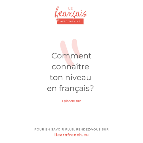 Épisode 102: Comment connaitre ton niveau en français