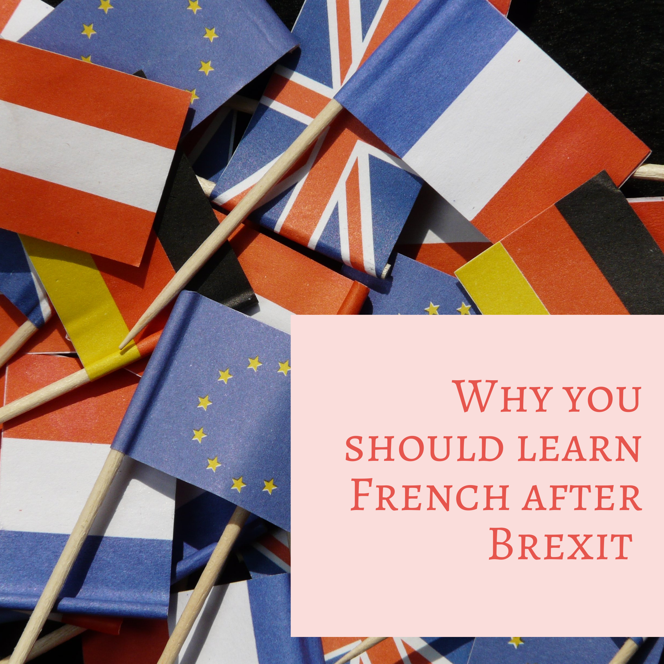 BLOG Good reasons to learn French before and after brexit