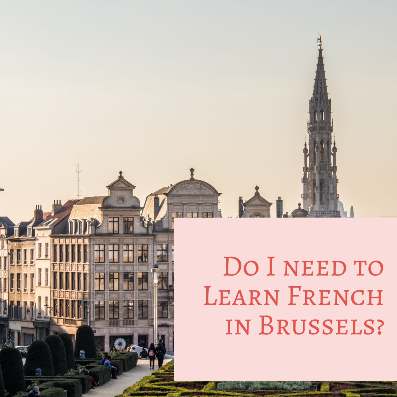 do-i-need-to-learn-french-in-brussels-what-are-my-options