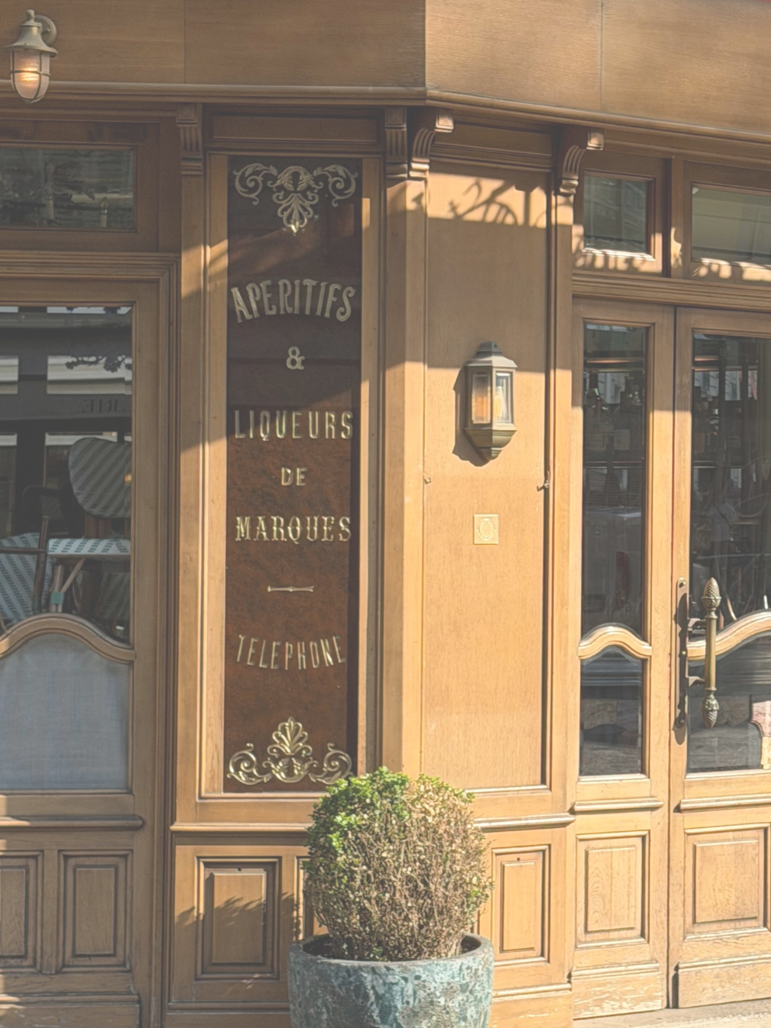 French course options: Intensive course or long-term course?