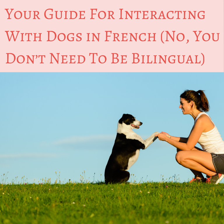 Can you really learn French in just 3 months Advice from a Polyglot (4)