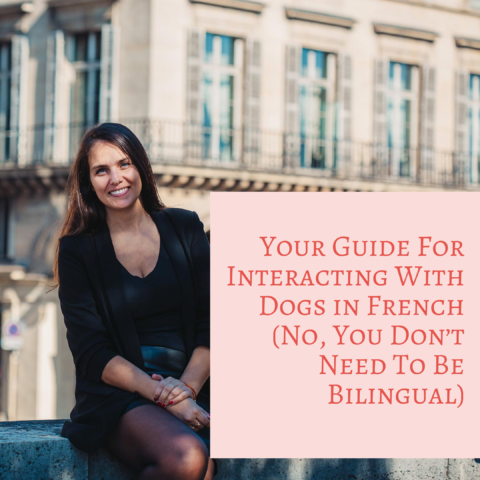 Your Guide For Interacting With Dogs in French (No, You Don’t Need To Be Bilingual)