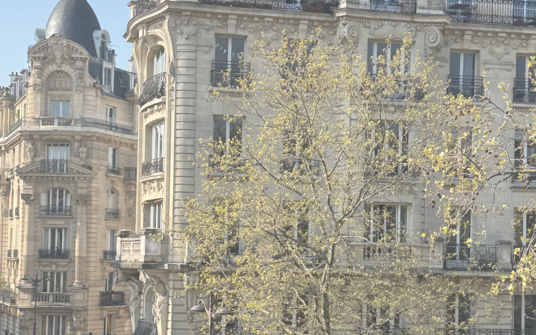 7 good reasons to learn French after Brexit