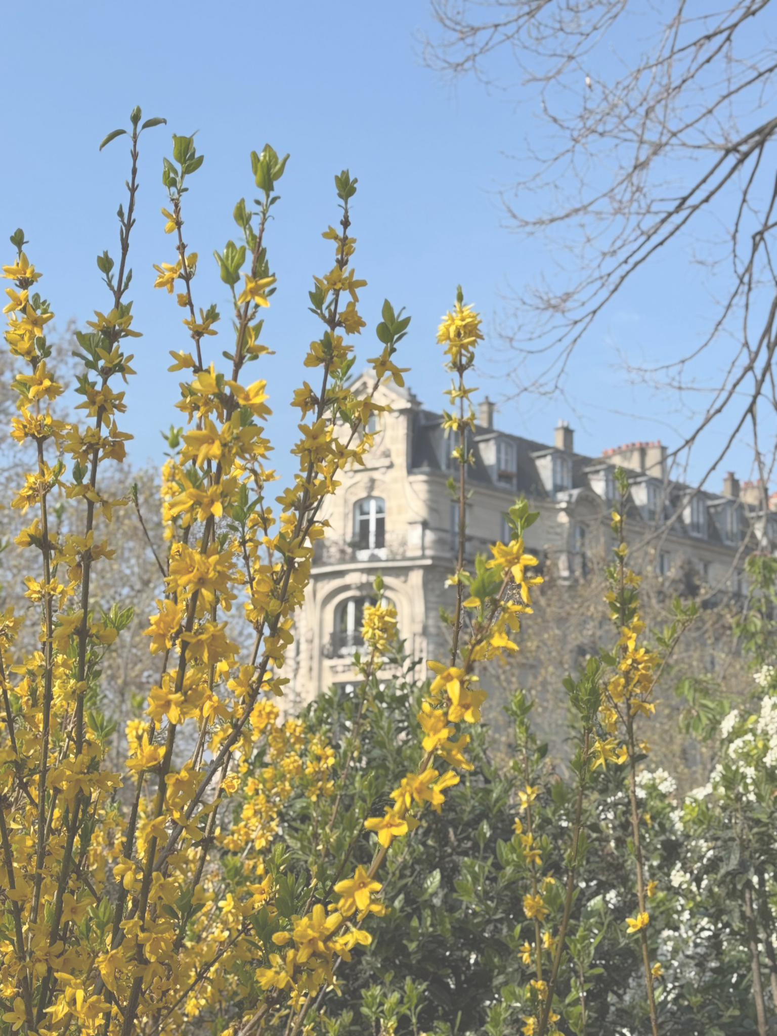 Why September is a good time to start or restart learning French?